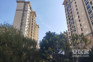 深入解讀 東方帕堤歐公寓住宅的優(yōu)劣與周邊經(jīng)紀人評價